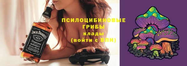 бошки Каменногорск
