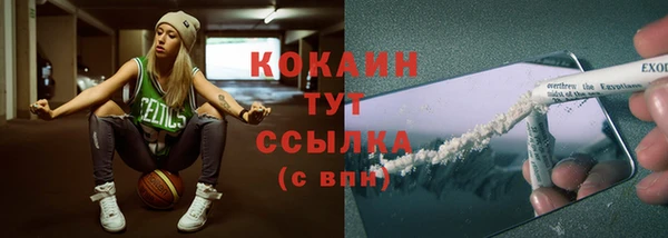 шишки Каменск-Шахтинский