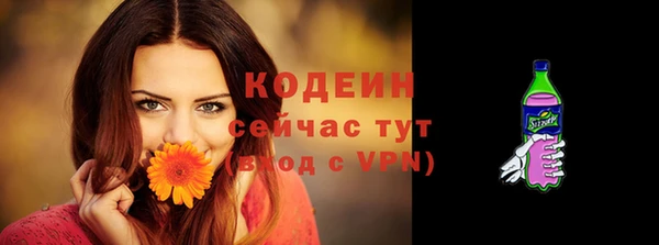 бошки Каменногорск