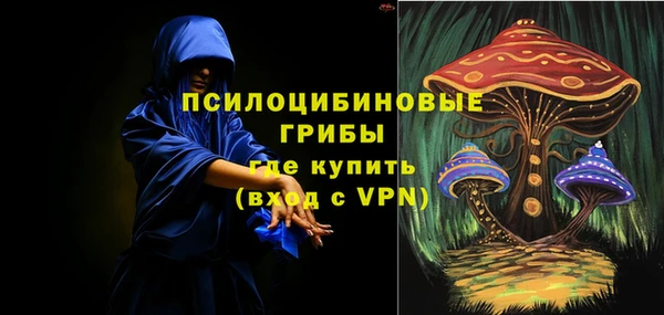 шишки Каменск-Шахтинский
