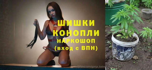 бошки Каменногорск